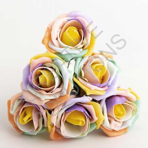 FR-0909 - Pastel Rainbow 5cm Colourfast Foam Roses